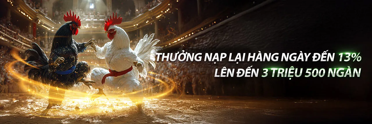 Hỗ trợ K9WIN chính thức 24/7